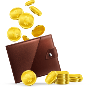 Wallet coins cash